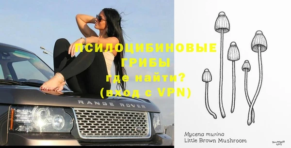 прущие крисы Иннополис