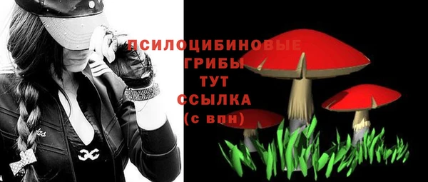 прущие крисы Иннополис