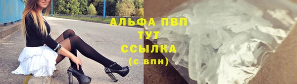 spice Инсар
