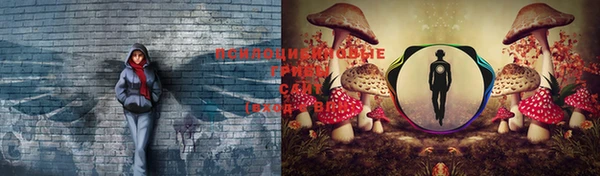 прущие крисы Иннополис